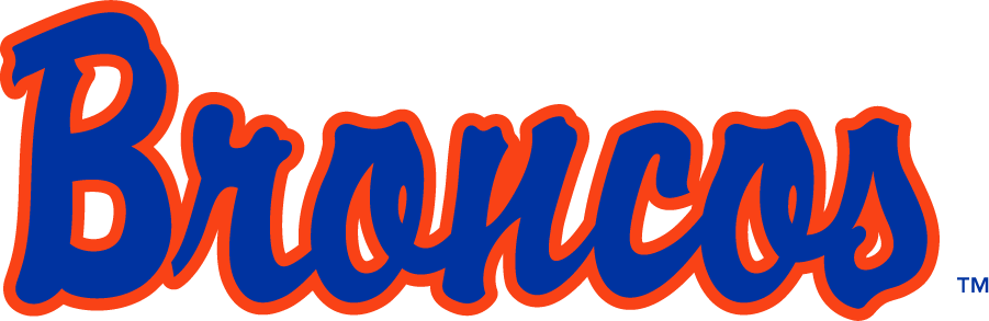 Boise State Broncos 1997-2001 Wordmark Logo v2 DIY iron on transfer (heat transfer)